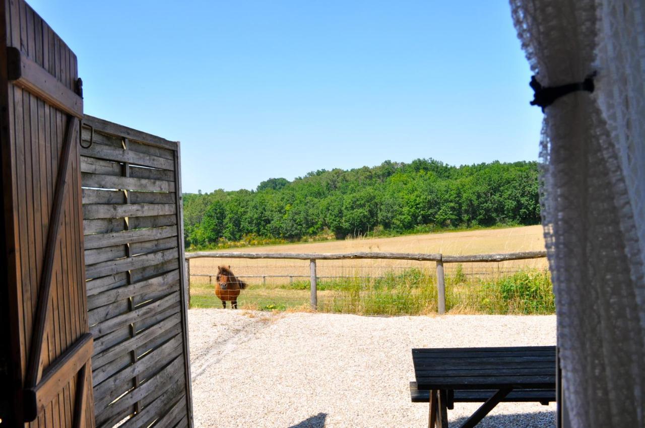 Villa La Ferme Couderc à Castelnaud-de-Gratecambe Extérieur photo